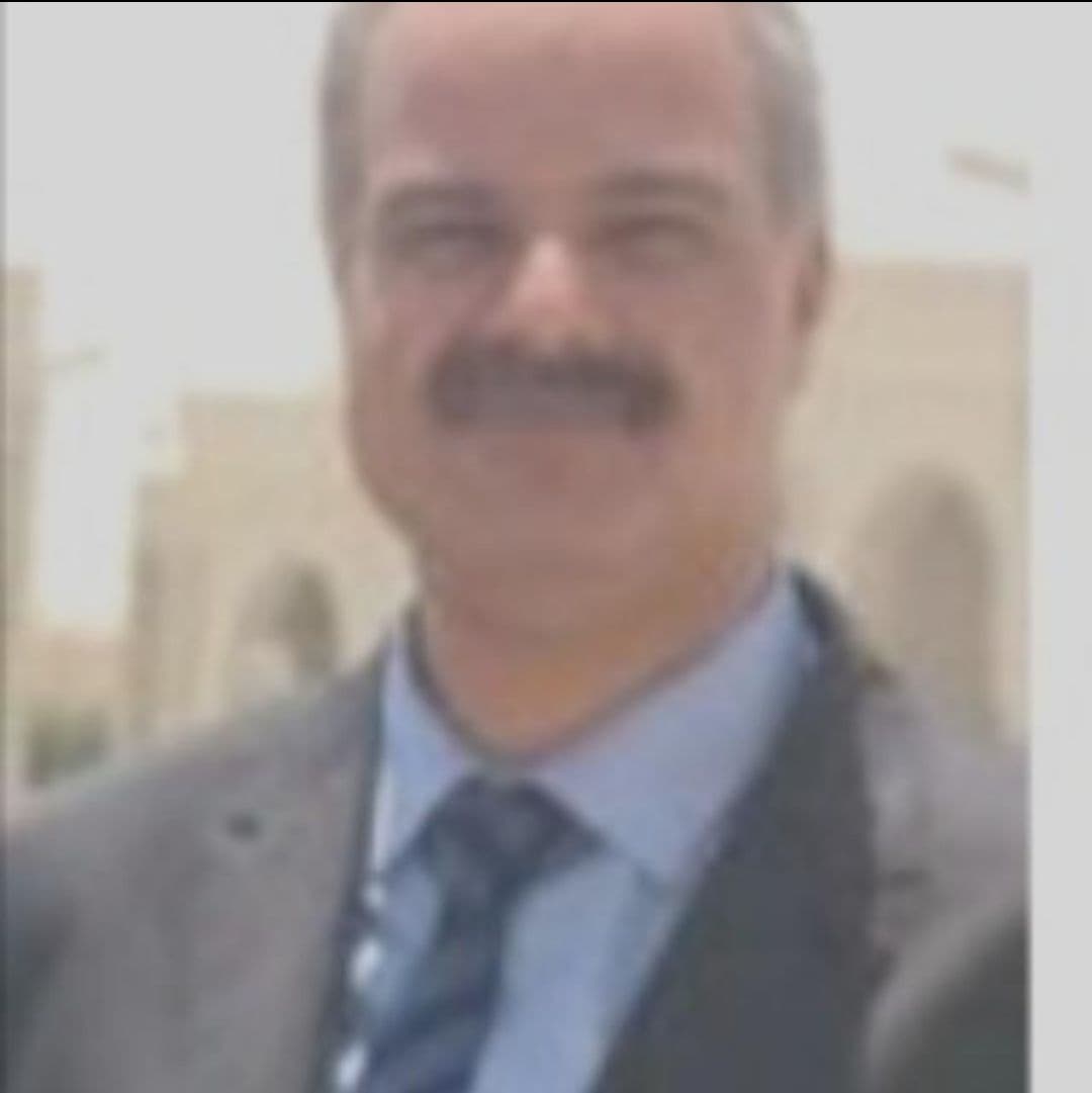Emad Eddeen M. H. Abdelnaby